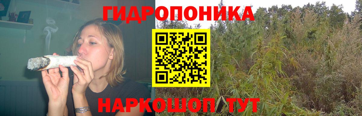 Бошки Шишки OG Kush Великий Устюг
